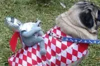 Поводок кожаный